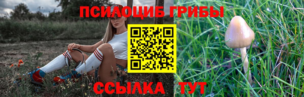 Галлюциногенные грибы Magic Shrooms Гусиноозёрск